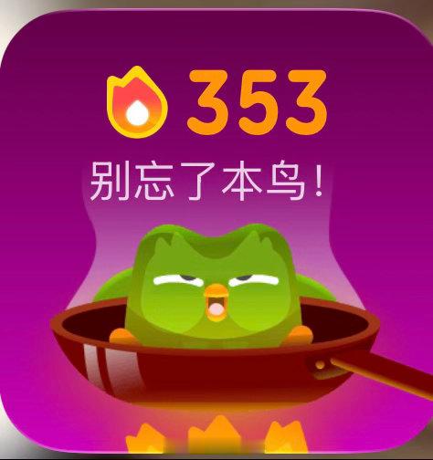 多邻国  353天