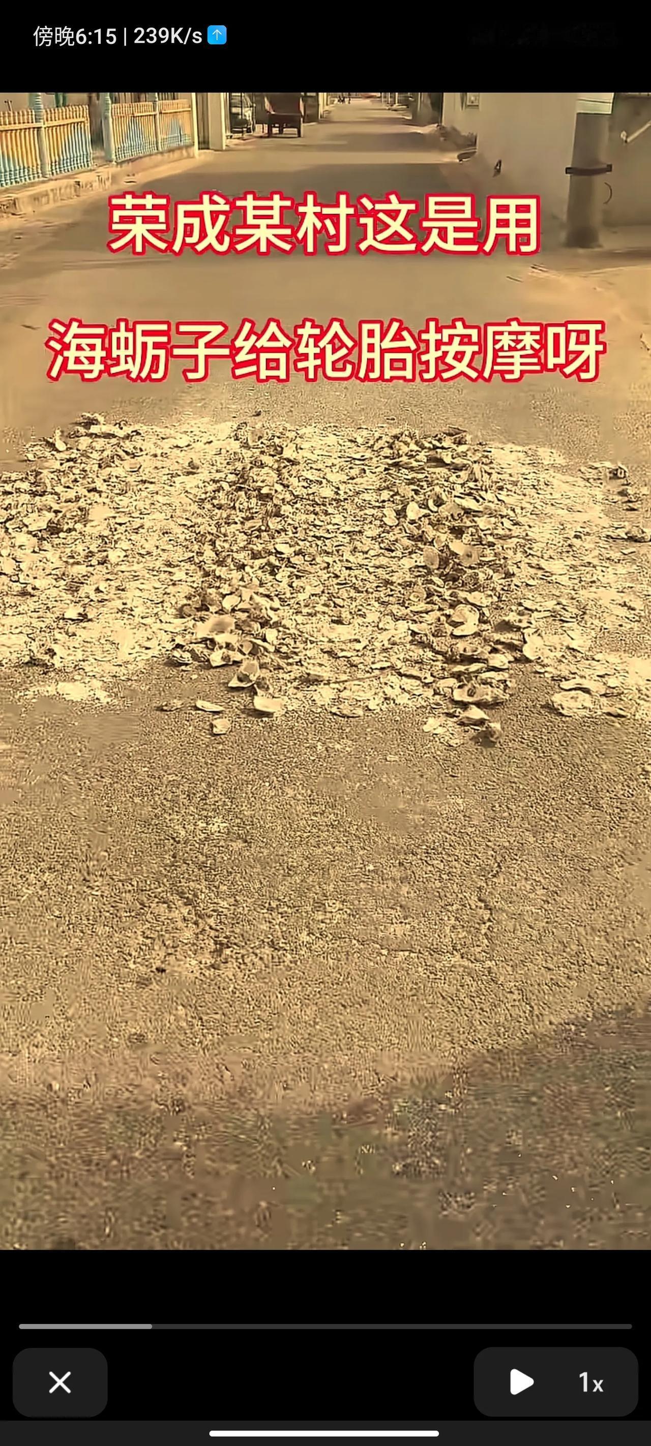 在威海荣成、文登、乳山这样的沿海地方，其实经常遇到海蛎子壳当街放的状态。
这些海