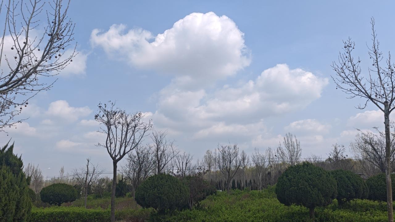 春日生活打卡季春暖花开三月天