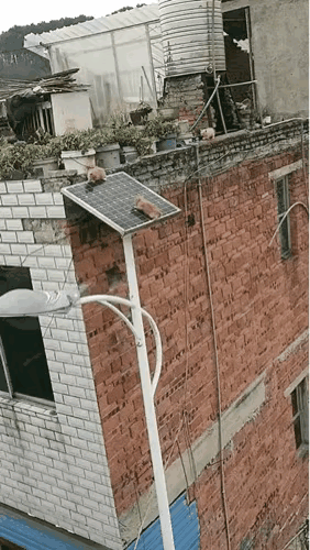 看得心揪