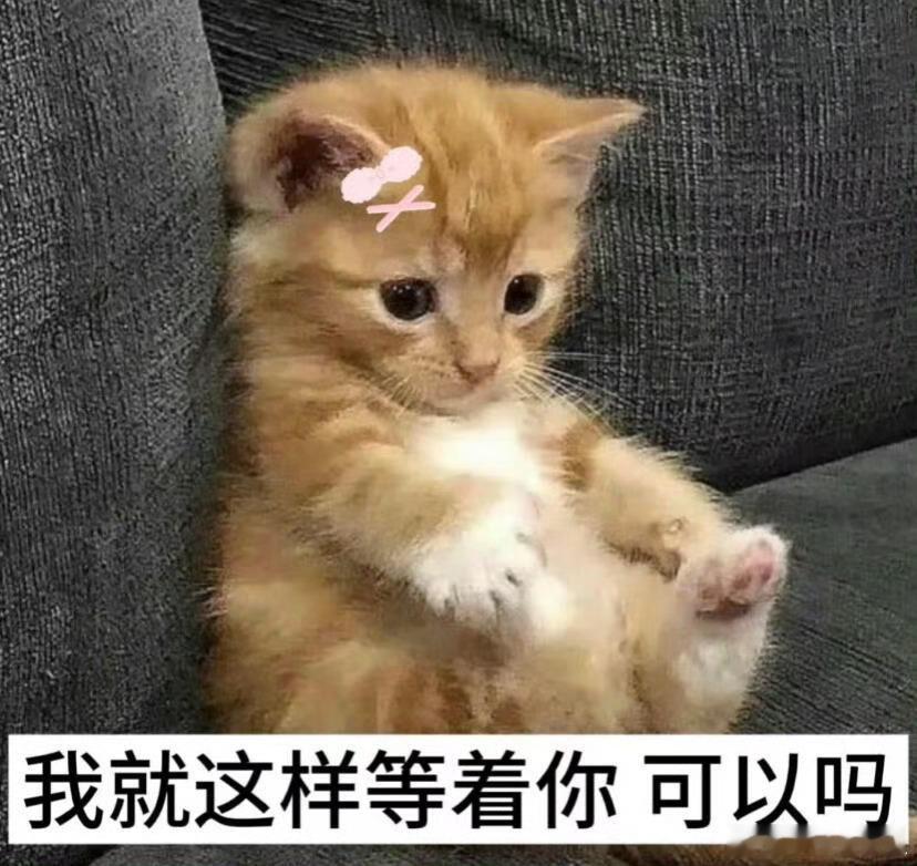 早上好是我很喜欢的古耽侍卫受🥰  📚类型合集 ➡️【侍卫受-22p】 《暗卫