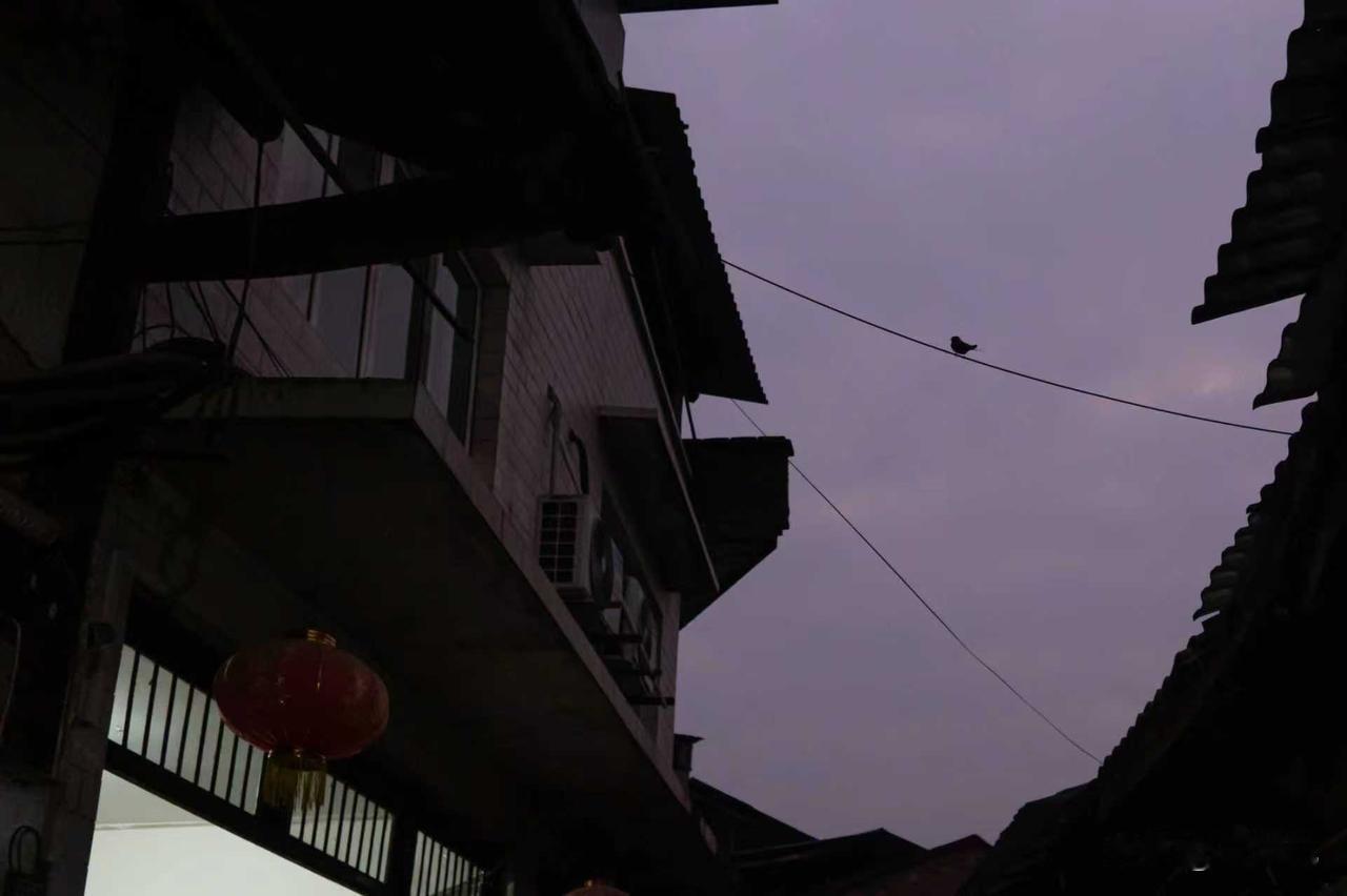 和丰今年最后一场