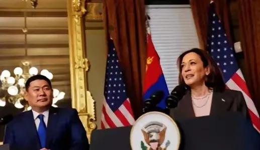 蒙古国这回可真是骑在矿车上飙车——眼看着要翻车！当总理公子女友晒出手袋豪车的那一