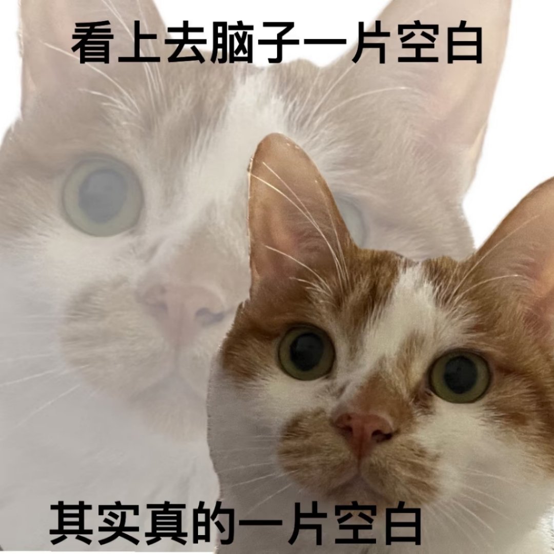 本来是午休小憩一下，结果醒来发现四点了是什么感受？整个人都是懵的…………[允悲]