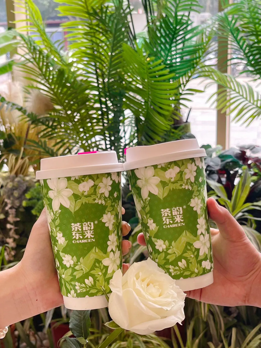 又被茶韵拿捏的一天，羊毛党福利 七夕当天来茶韵的客人 只要携带一朵栀子...