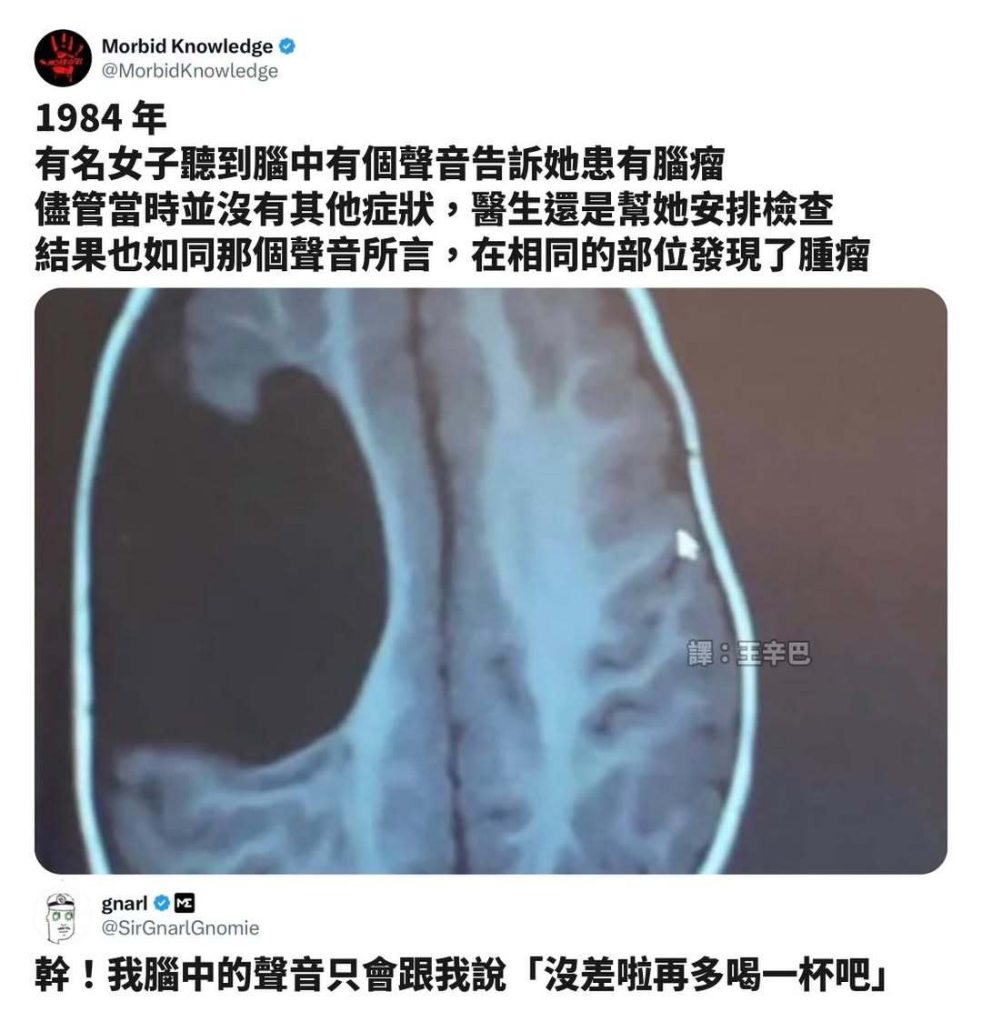 这倒提醒我了memes