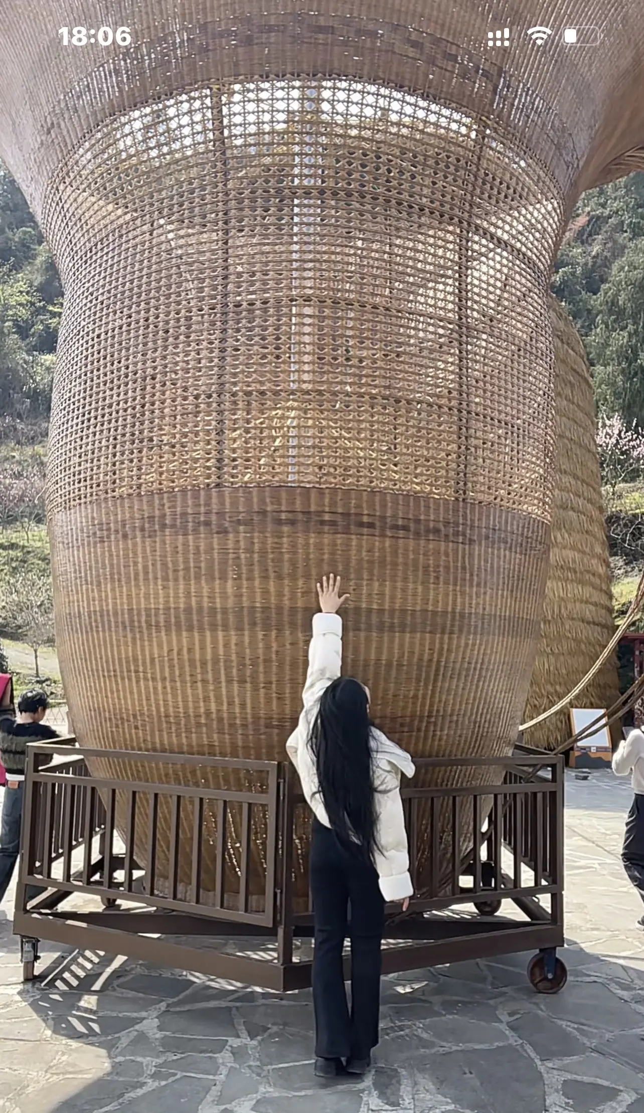 打个卡