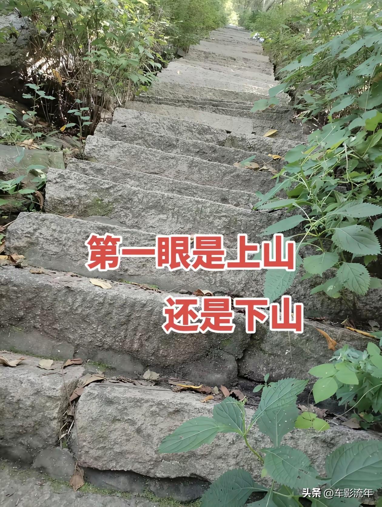 必须是下山！远看是，近看是，你看路边的植物