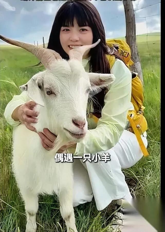 你敢信吗？

小羊也会认人。

我之前总觉得“万物有灵”是卖情怀的噱头，直到看到
