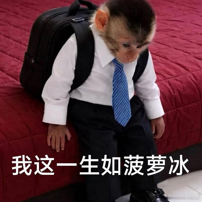 最尊重猴的剧组出现了 吗喽大闹众合没有刻意制造冲突，用诙谐温和的叙事传递情绪，欢