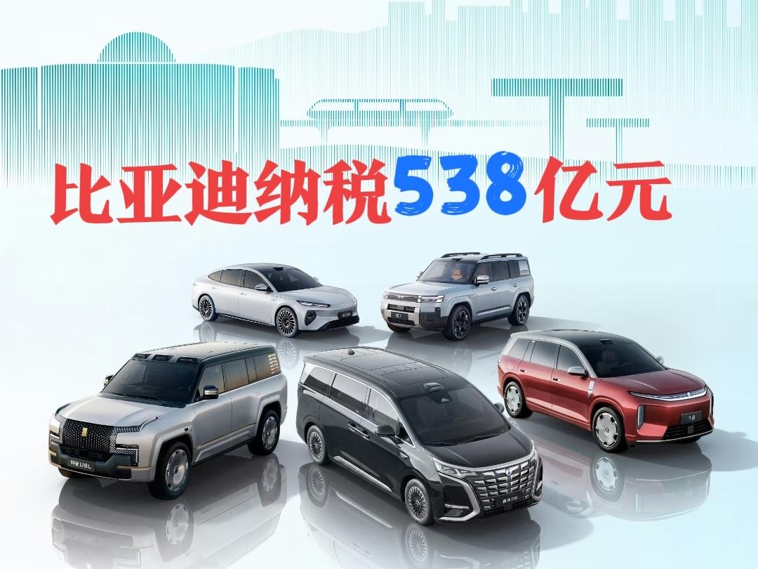 比亚迪全年纳税538亿元，其中国内纳税533亿元，海外主体纳税5亿元。腾讯控股全