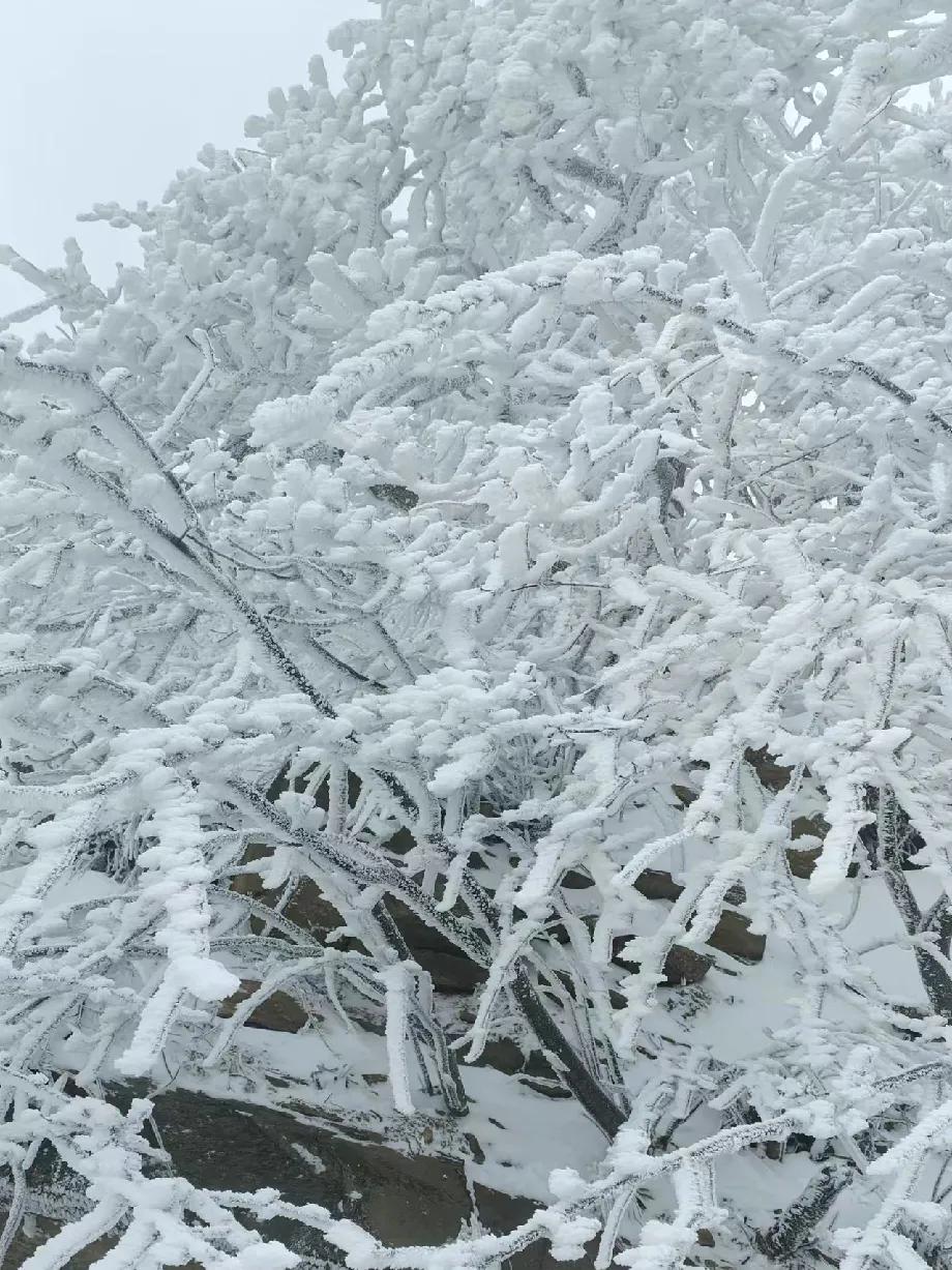 进山的路被积雪埋没，下山的路也无从循迹，我们只能在山上待着，等冰雪融化再把车开下