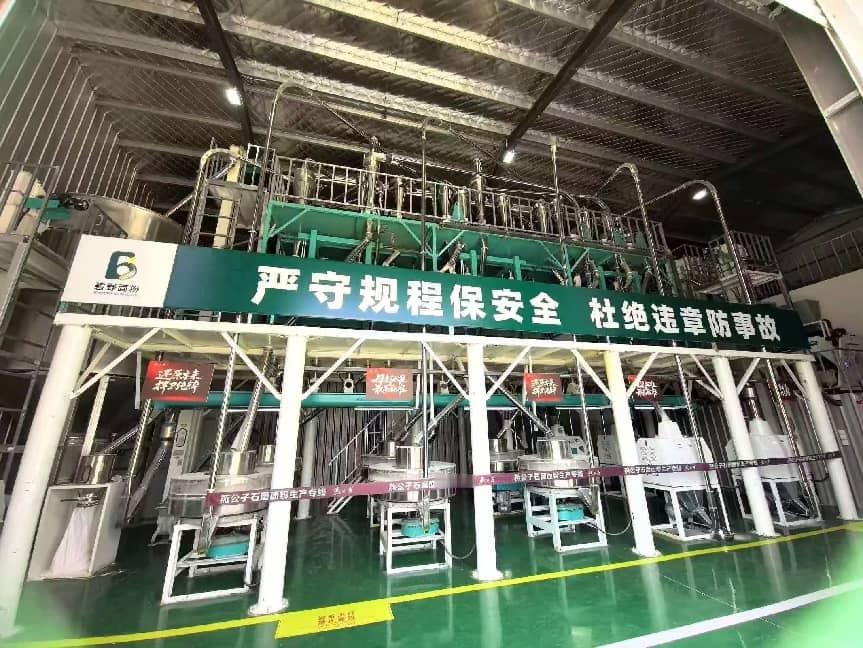 科技赋能沙澧粮仓：漯河面粉厂“碧野面粉”携手国家级科研力量，领跑健康面粉新赛道