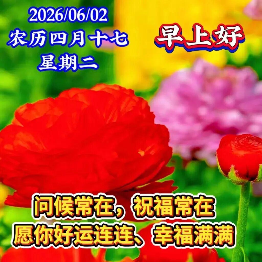 欢歌笑语人难老☀️，心宽知足岁月好👍🏻，身体健康无价宝🎁，每天问候心情好❤