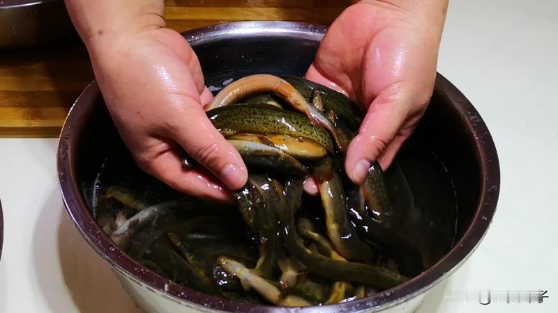 【被“误解”最多的鱼，如今8元一斤没人买，殊不知比甲鱼还营养】
自古以来，“江上