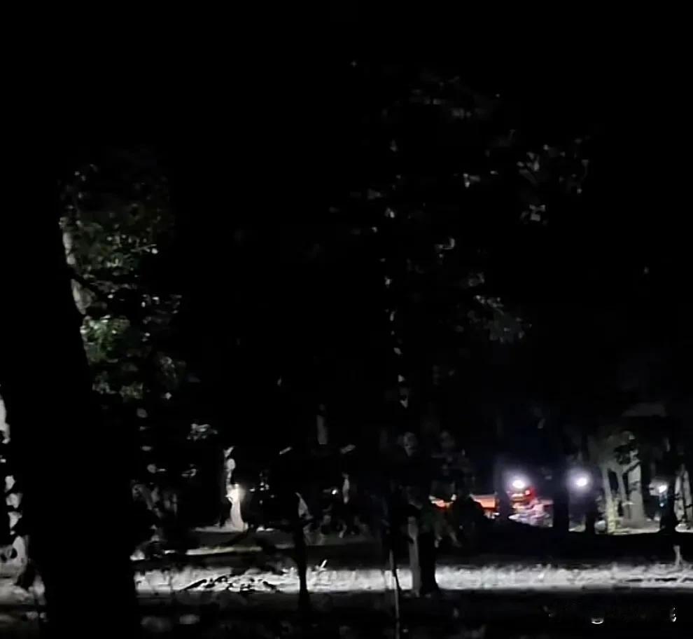 夏日的三门峡晚上，什么活动适合全家出动呢？
不用想了，答案很明显了是吧。就是全家