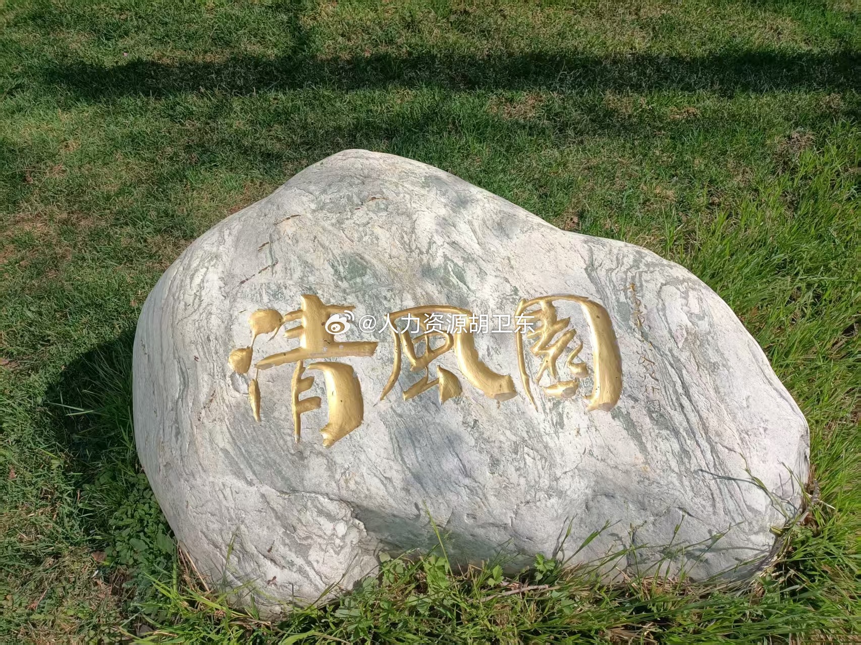 事实证明，中央愿意砸钱在重庆，是从战略布局上是深思远虑的。重庆史基本没有地震，沙