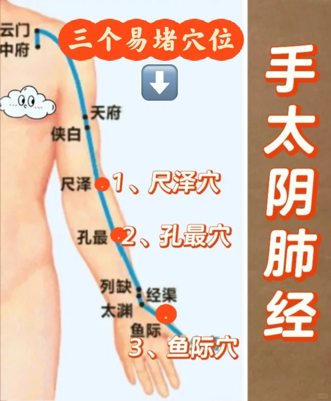 伤了十二正经怎么办？——之手太阴肺经