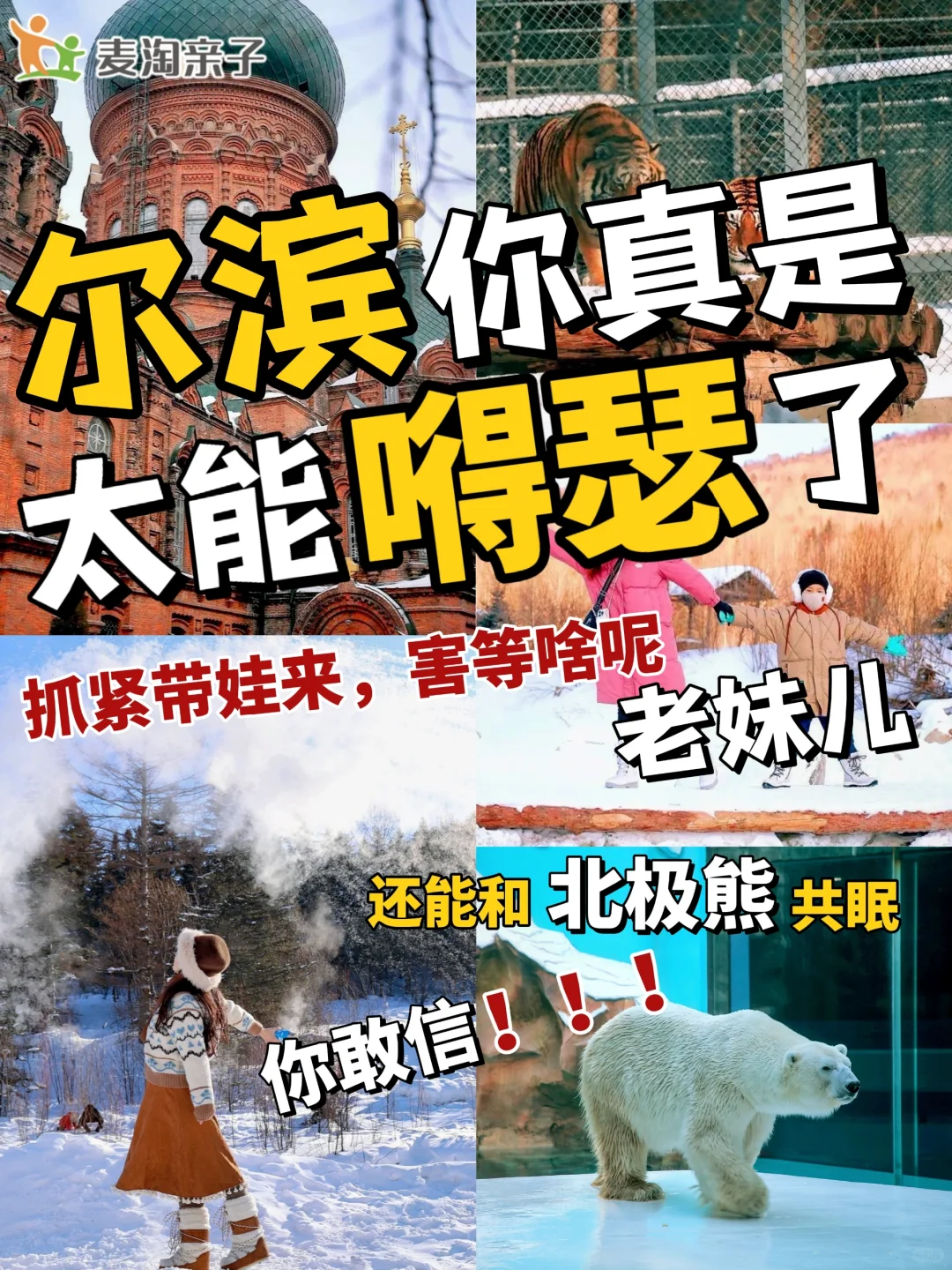 尔滨背后必有高人指点，真的太适合带娃玩雪