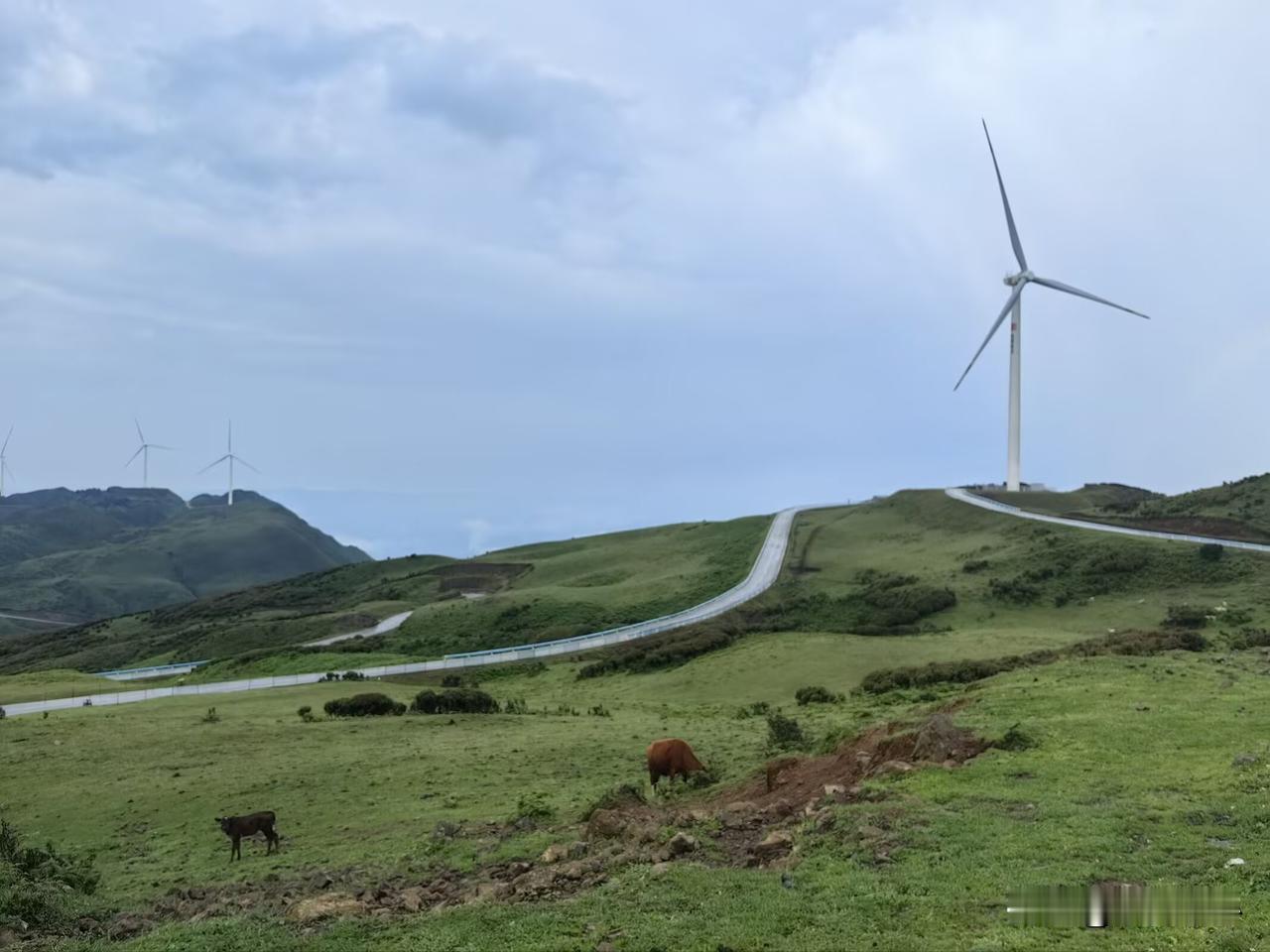 马斯克曾经语出惊人：“你现在拼命攒钱，就跟原始人攒一堆贝壳没区别。未来的财富单位