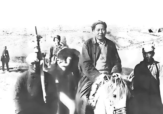 1947年在 陕北 转战途中。战火纷飞，时有平静，山间一朵静静绽放的百合，不飘扬