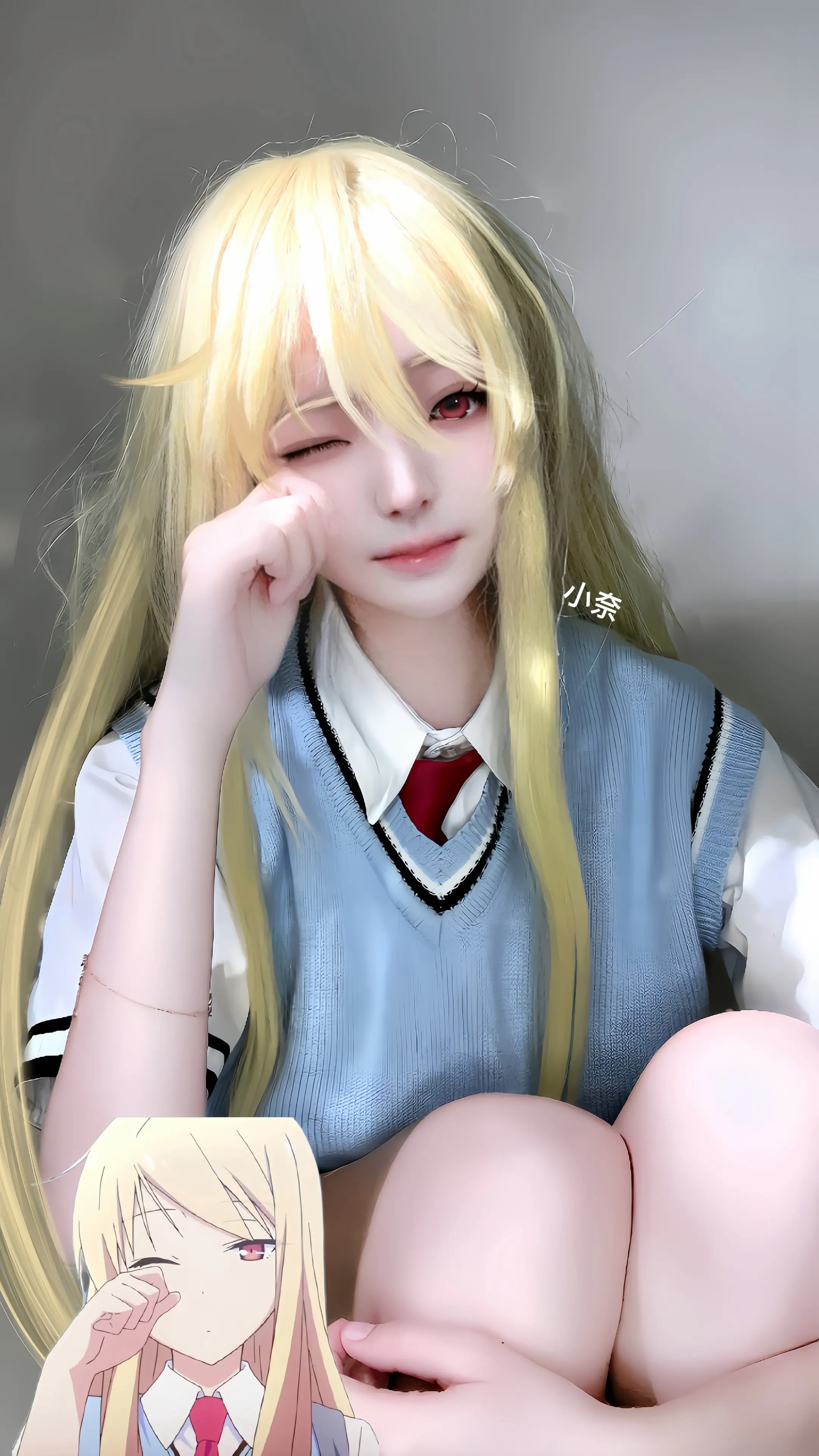 樱花庄的宠物女孩