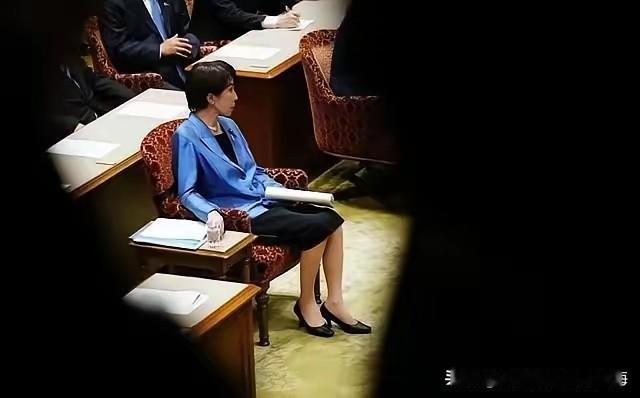 高市早苗如果下台谁会接替她我想现在谁接替她这把相位都是“烫手山芋”！从各方面的选
