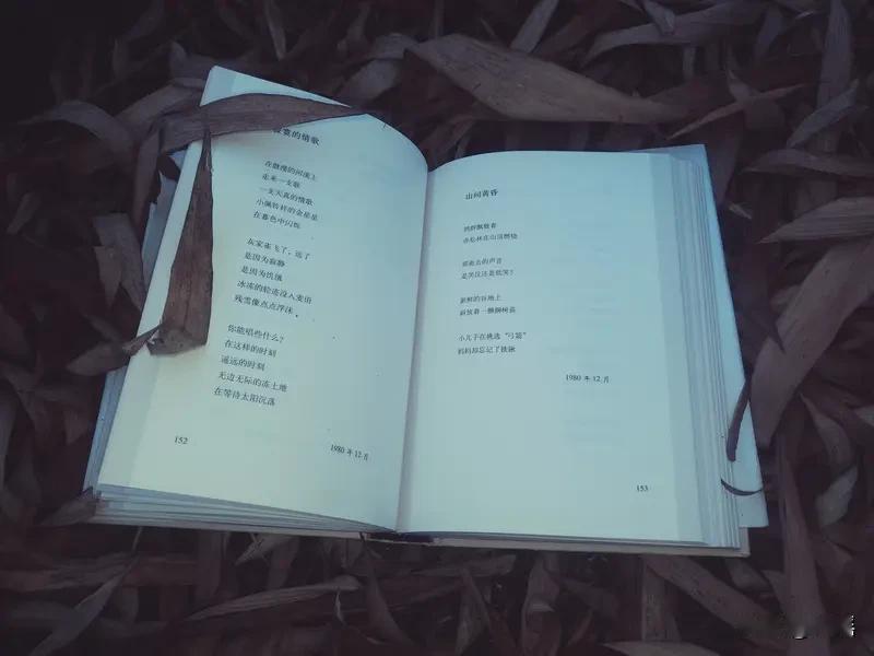 见“酒里忧愁少”上联
意境颇佳
有人对“诗中岁月悠”
甚妙
“诗”“酒”乃文人所