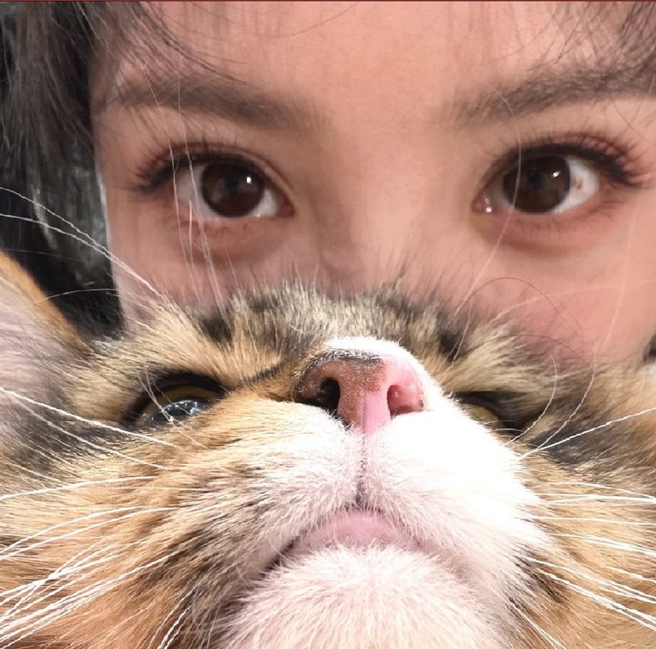 田曦薇小年plog 田曦薇说人猫人猫 田曦薇小年plog来啦 