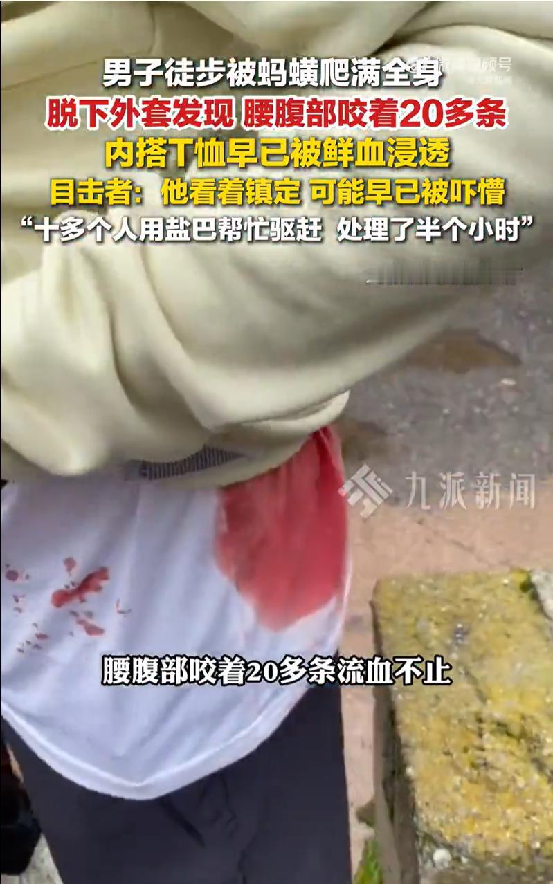 “太吓人了！”云南昆明，一名男子独自在一处高海拔山区徒步，经过一处雨后山林，不慎