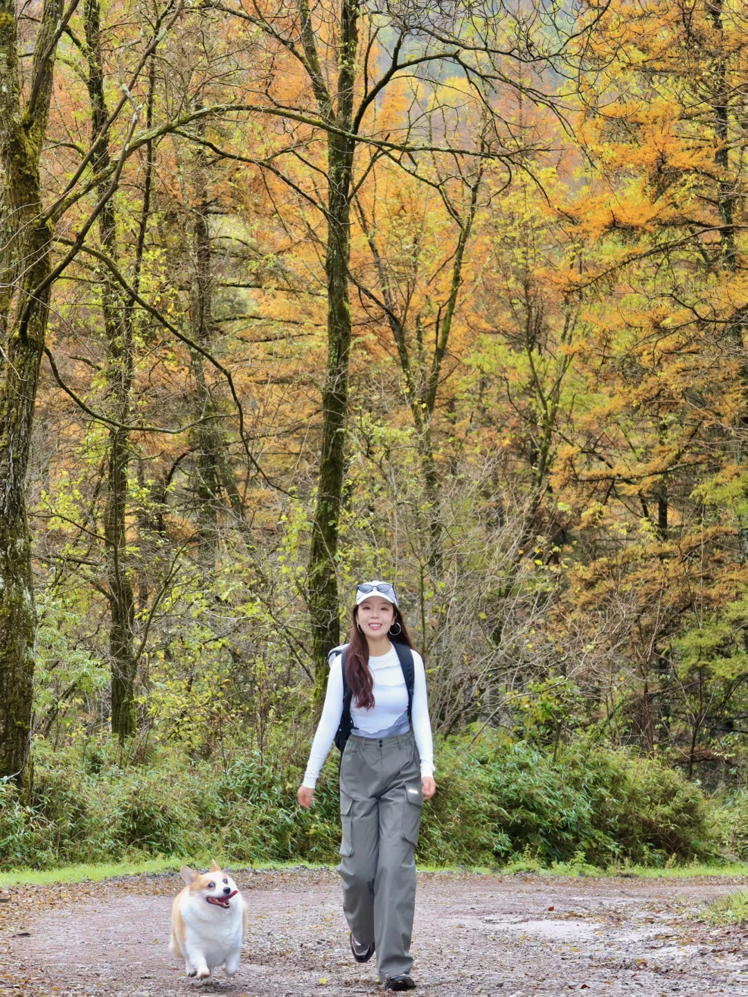 月太路赏秋｜属于陕西人自己的北欧森林🌲