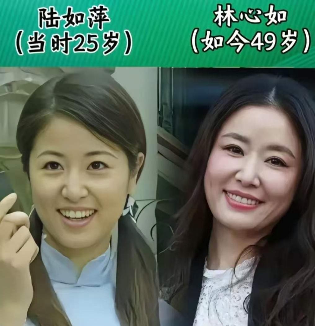 陆尔豪的扮演者高鑫
陆如萍的扮演者林心如
陆梦萍的扮演者乐珈彤
《情深深雨濛濛》