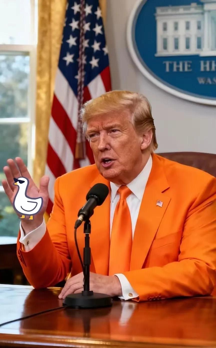 最新！消息
特朗普正式宣布了！
​​荷兰政府新近宣布的2025年光刻机出口新规引