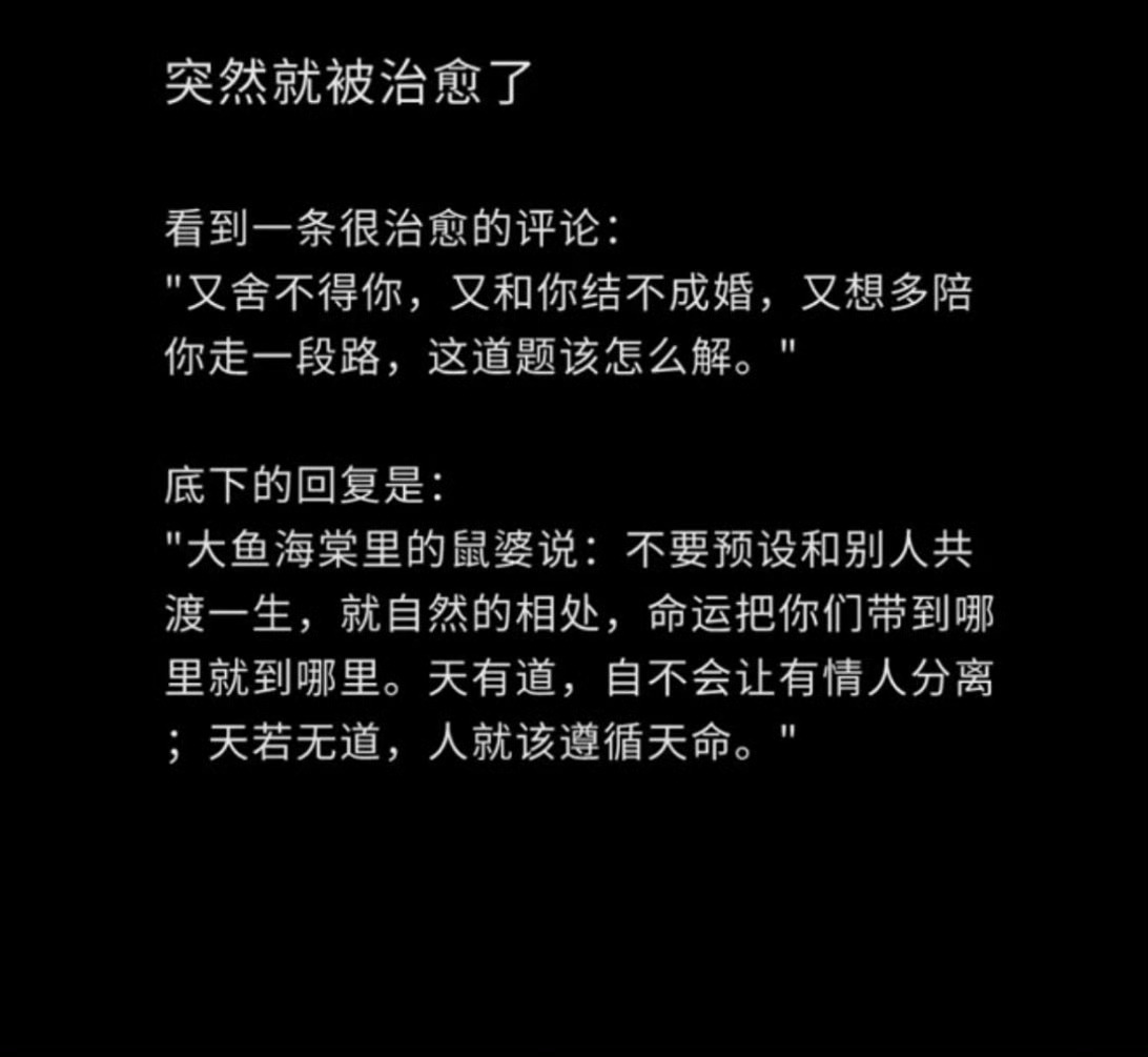 “大鱼海棠里的鼠婆说：不要预设和别人共渡一生，就自然的相处，命运把你们带到哪里就