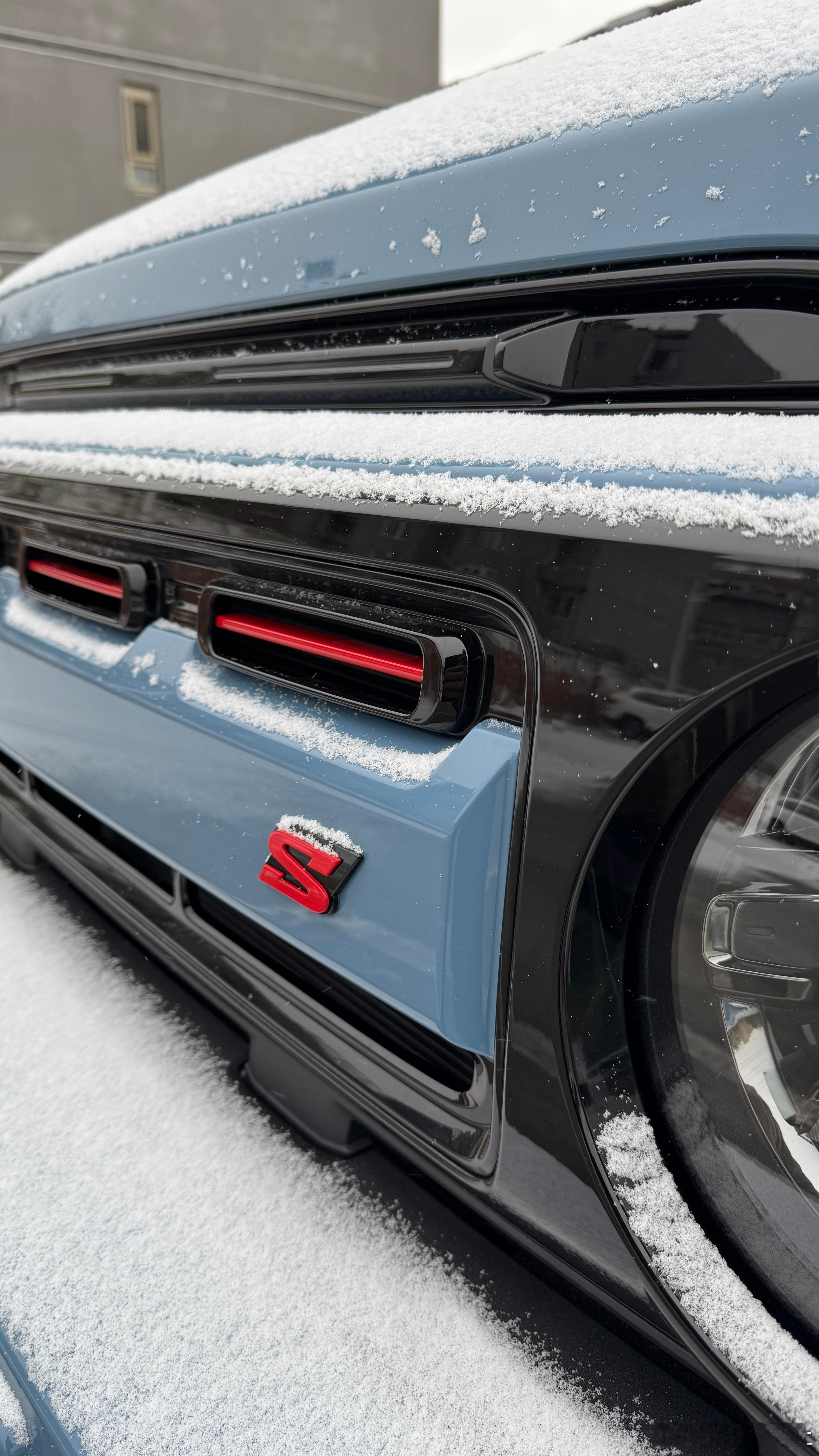 2025初雪摄影大赛随随便便捏了两张快带着你的搭子出门拍雪吧 