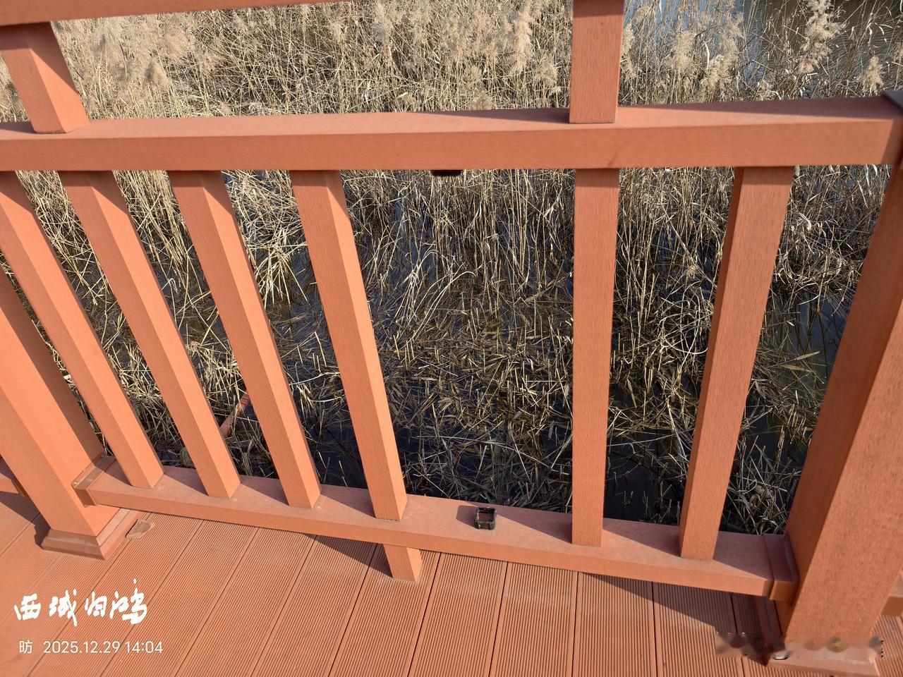 东营是垂钓人的天堂，不但资源丰丰富，而且环境优美。但总有个别钓友，为了钓鱼方便，