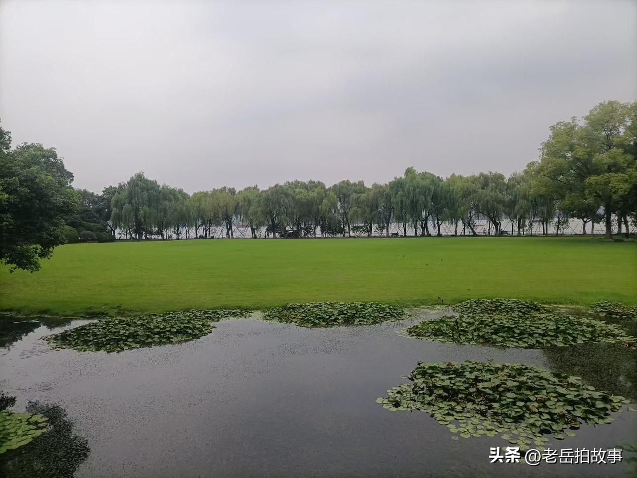 你在乘电梯的时候发现没有发现过这样的事儿:别人都在排队规规矩矩的等，穿的光鲜亮丽