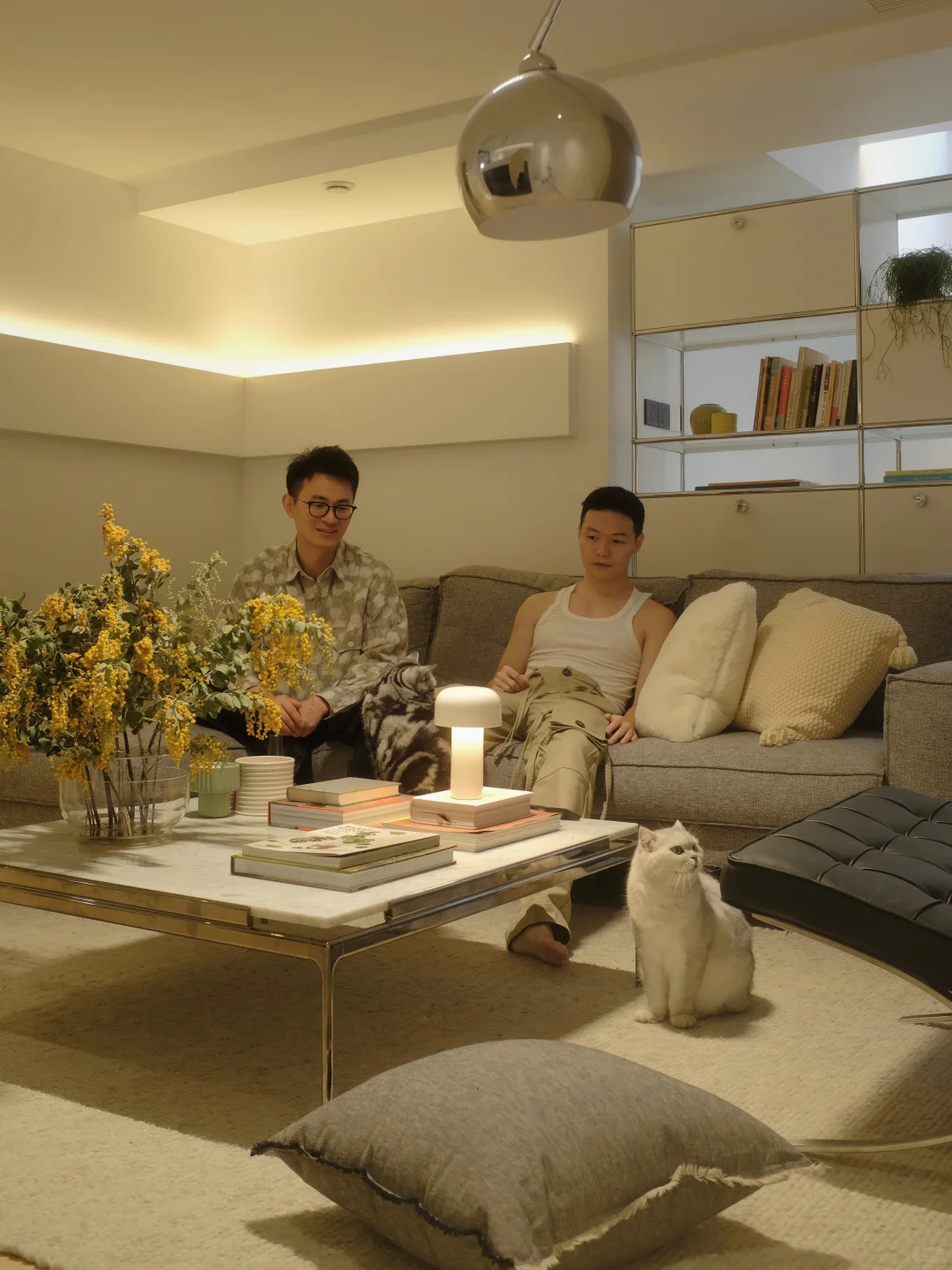 两个男生的家｜有猫有爱，四季相伴