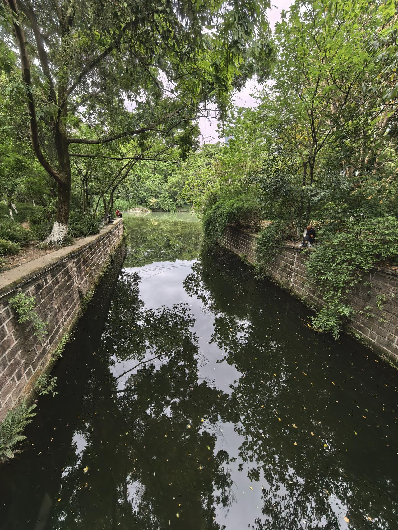中芯国际A股本周走势分析及展望

一、本周（截至2026年4月24日收盘）走势分