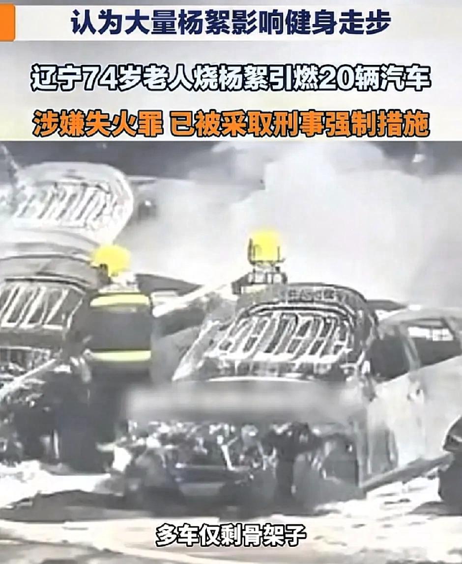 谁能想到一个74岁的老人竟然能闯出这么大的祸，不仅自己被刑事拘留，恐怕就连这一辈