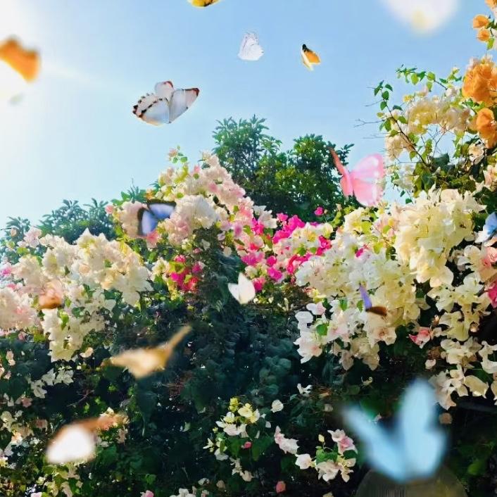 ┌ 🌸💖🌸欢迎光临我的头条🌸💖🌸 ┐
  🌷✨🌷  感谢友友们的