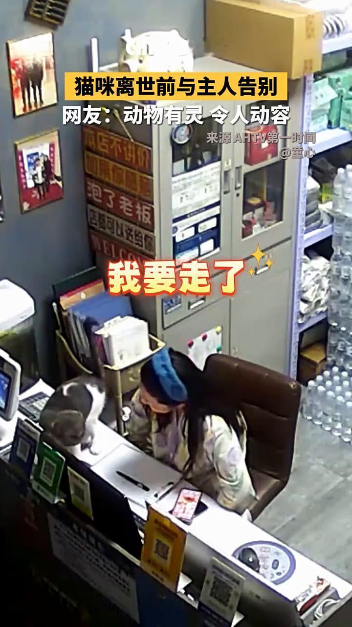那一天比较反常，动物是有灵性的，在它生命的尽头用这种方式跟主人告别，所以常人都难