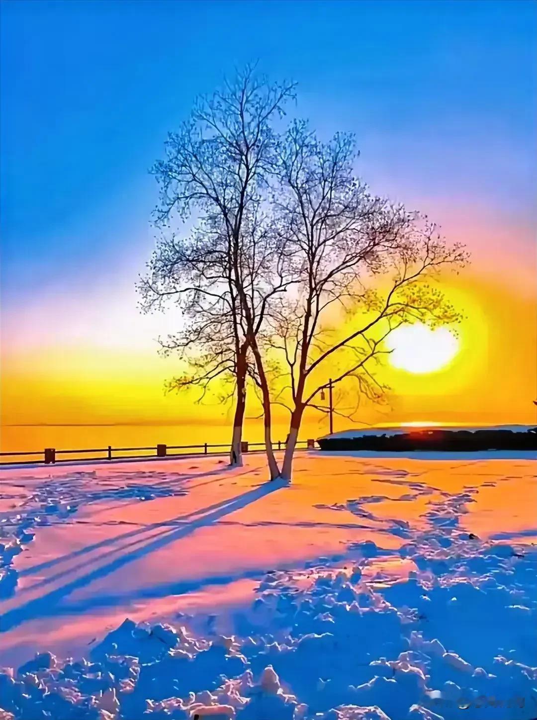 雪树红霞映，夕阳余晖照。落日归山海，烟火向星辰