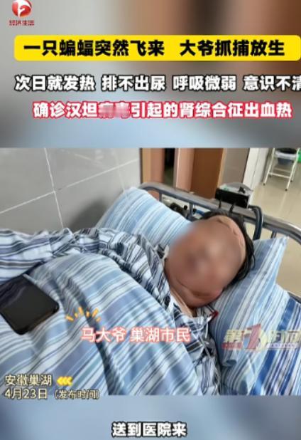 “悲剧还是发生了！”近日，安徽巢湖，一位大爷发现家中进了只蝙蝠，他伸手就去抓，可