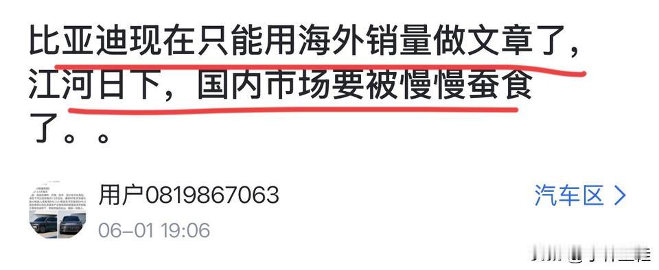 网友：“比亚迪国内销量要被慢慢蚕食了！所以只能拿国外销量来做文章了！”
比亚迪：
