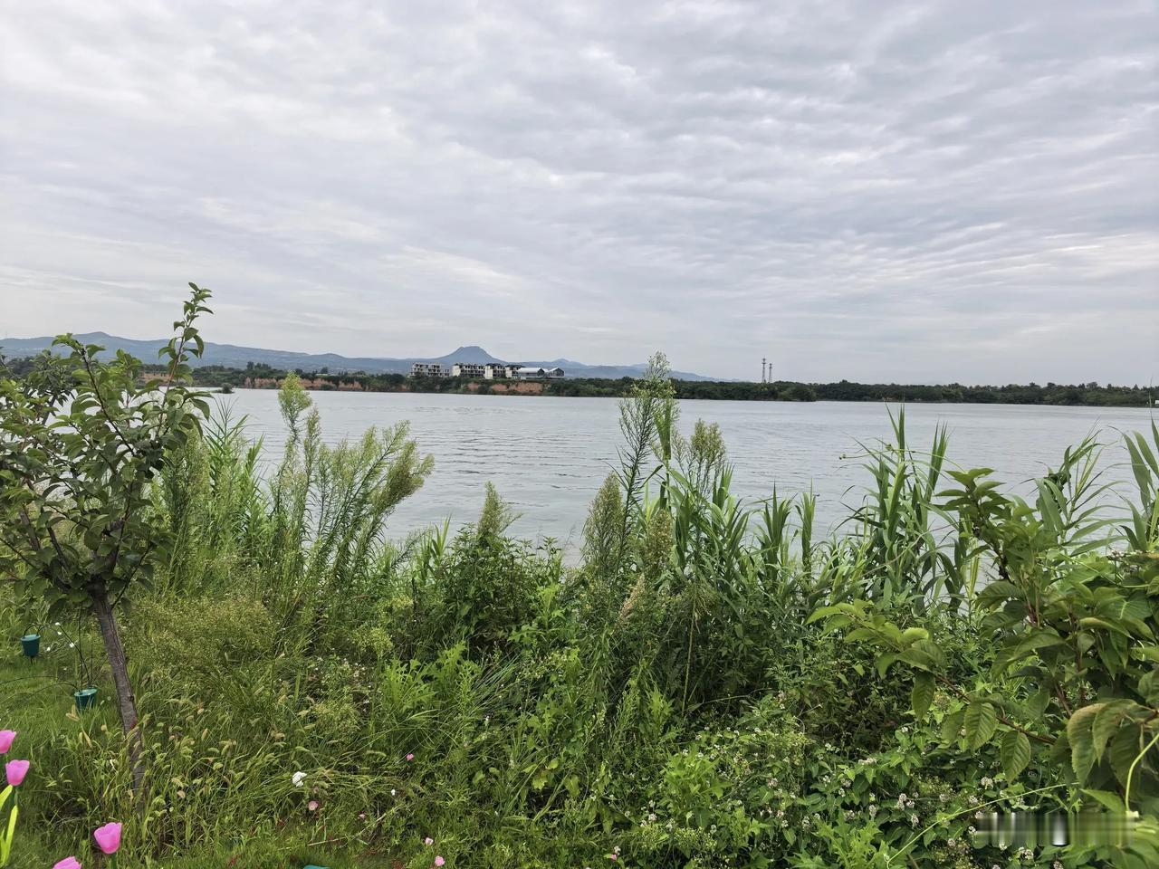【七绝·秋风】
休道秋风不敢言，
西边荡起唤青山。
清凉阵阵疏蝉静，
却让蛐蛐乐