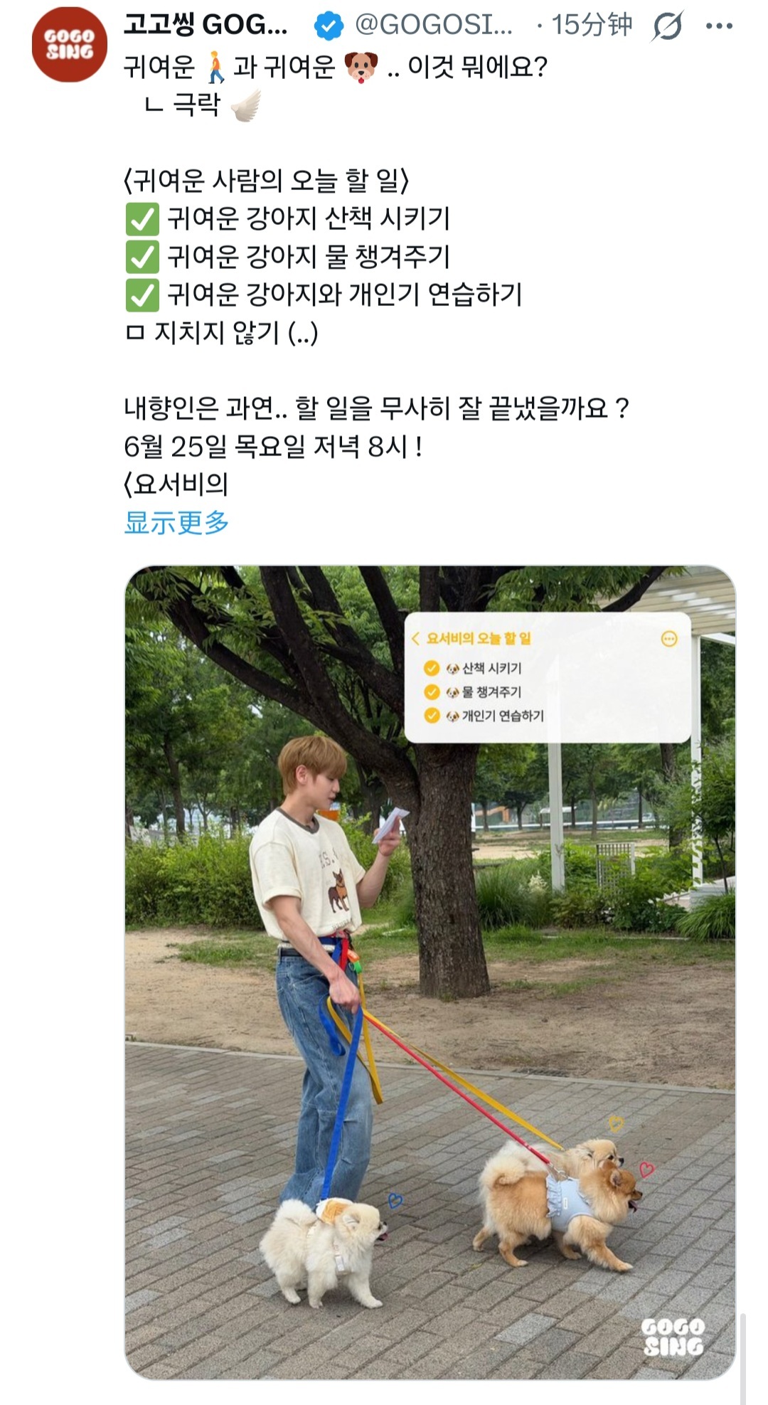 梁耀燮真的去做遛狗跑腿服务了，遛狗的也是只黄毛小狗捏 