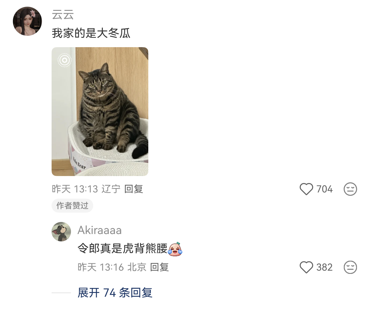 小地瓜瞅见了一只腿好长好长且好可爱的狸花猫！！！结果评论里的大秤砣更是绝杀[允悲