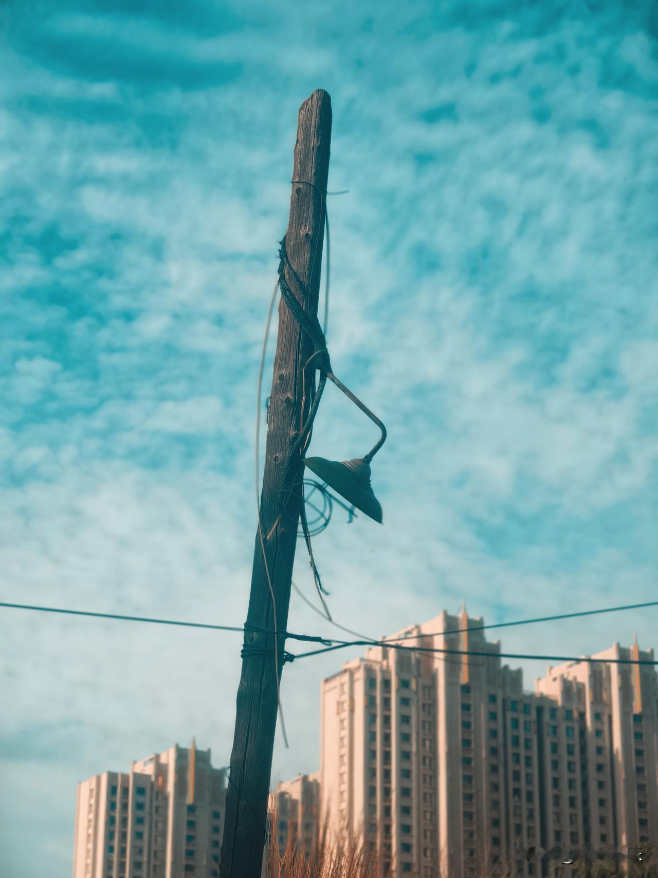 老木杆与旧路灯，
是被城市遗忘的边角。
身后高楼拔地而起，
身前云卷云舒如常。