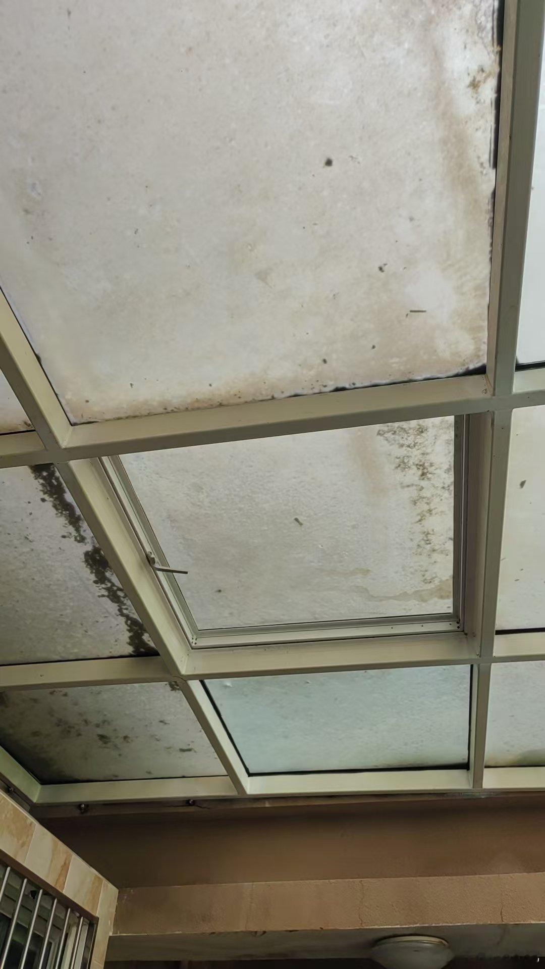 老人家是真固执跟老爸说了好多次，不要去爬到露台顶上，垃圾可以叫物业来清，漏水叫人